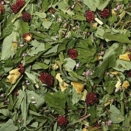 Handful of Wild Strawberry herbal tea