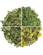 Organic herbal blend  teas